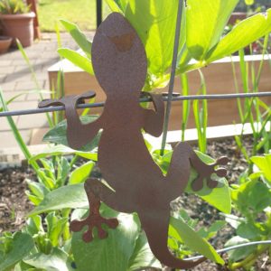 Australian-made lizard garden sculpture crafted from rusted Corten steel. The 3D lizard clings to pots and ledges, adding charm to outdoor spaces. Measures 22 cm long, 12 cm wide, and 5 cm high.