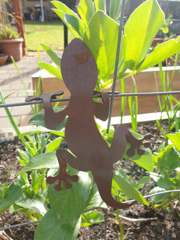 Australian-made lizard garden sculpture crafted from rusted Corten steel. The 3D lizard clings to pots and ledges, adding charm to outdoor spaces. Measures 22 cm long, 12 cm wide, and 5 cm high.