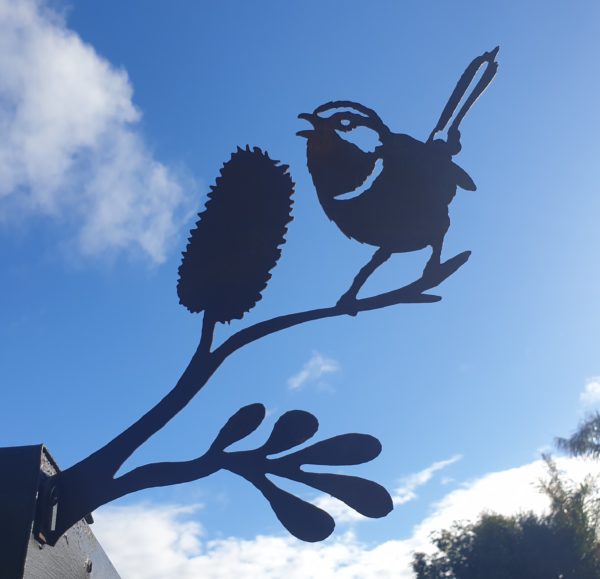 Superb Fairy Wren on a Banksia twig, laser-cut from Corten steel, rusting naturally for a decorative garden feature.