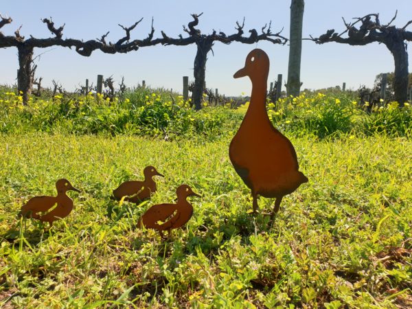 Walking Duck Family Garden Stakes set showing one large duck and three small ducklings in rusted metal finish for outdoor decoration.