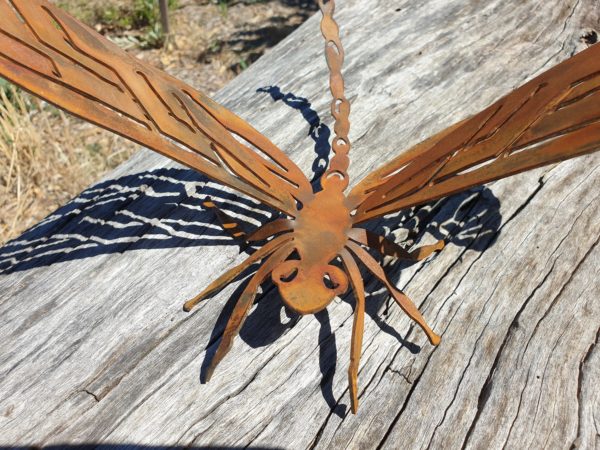 Rusted metal dragonfly garden sculpture