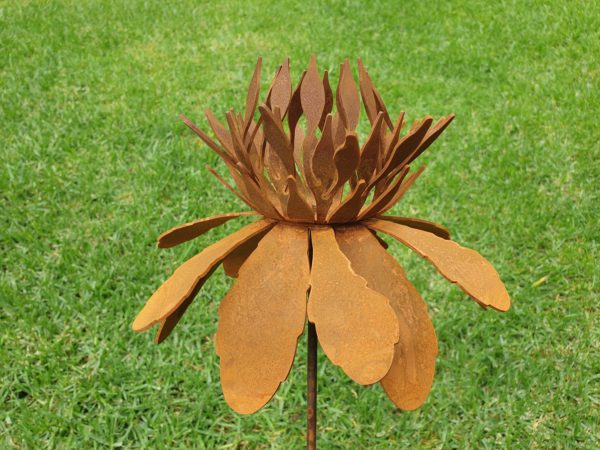 Waratah Flower Garden Stake featuring a 24 cm flower on a 69 cm rusted steel stake, inspired by the vibrant Australian Waratah bloom.