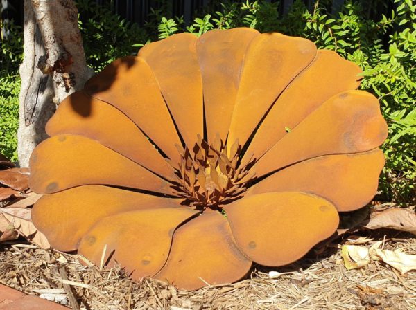 Rusted Sun Flower metal sculpture with natural patina in a garden setting, 50 cm diameter, handcrafted in Australia.