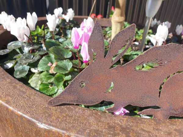 A charming Bilby Garden Stake showcasing the iconic features of the endangered bilby, including its pointed snout and bushy tail, handmade from durable Corten steel, perfect for adding whimsy to your outdoor space.