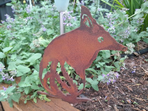 Bandicoot Garden Stake in Corten steel, showcasing its rusted orange-red color in a garden setting.