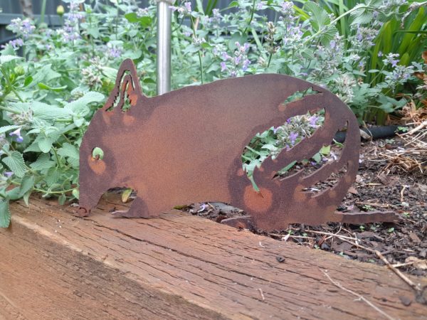 Bandicoot garden stake